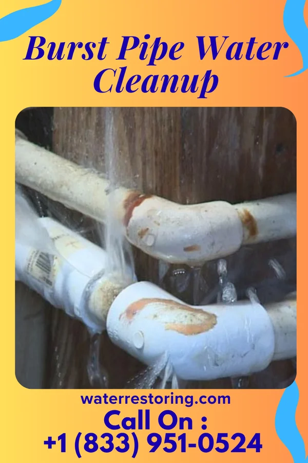 Burst Pipe Water Cleanup in Moonshine, LA