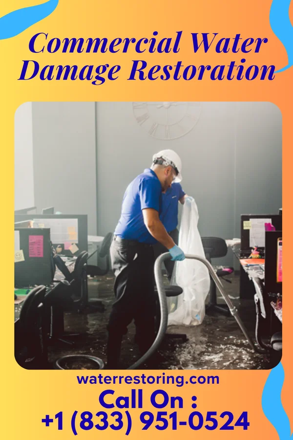 Commercial Water Damage Restoration in Moonshine, LA