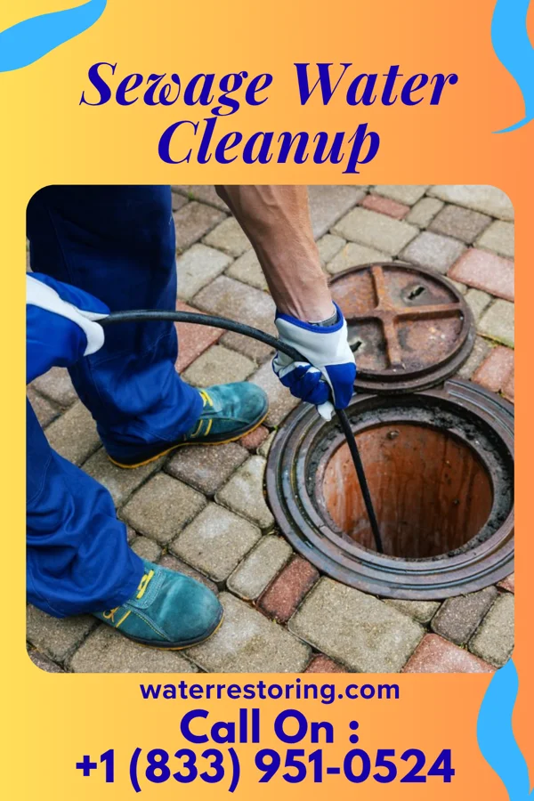 Sewage Water Cleanup in Moonshine, LA