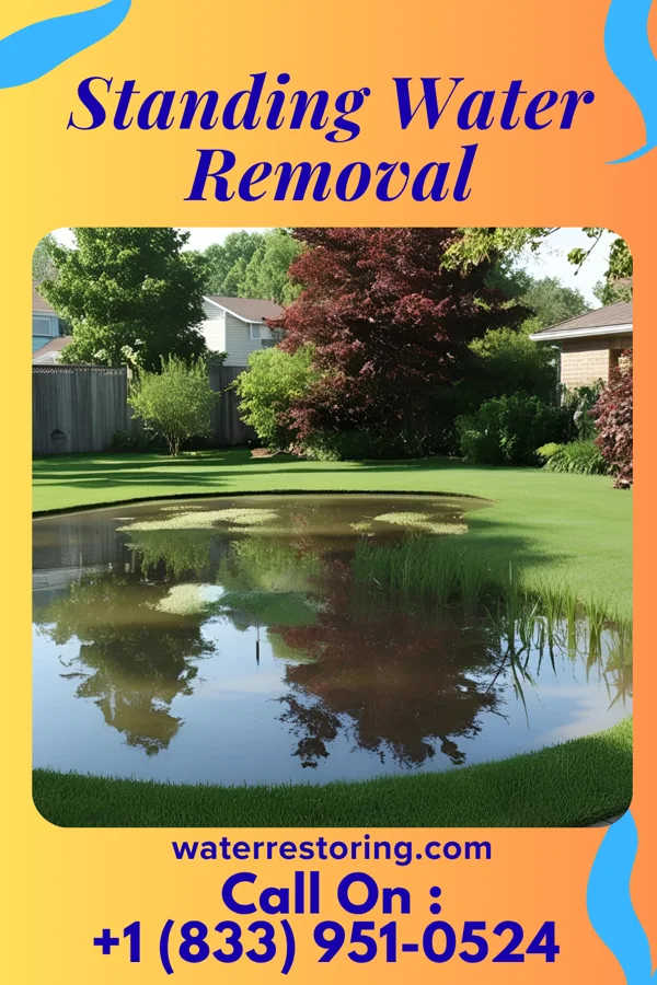 Standing Water Removal in Moonshine, LA